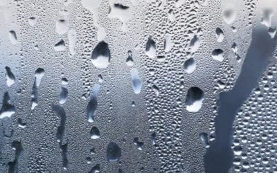 Condensation, What Is It? Who’s Fault Is It?